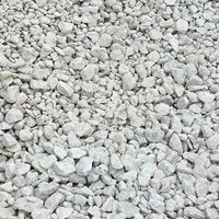 White Ice 50mm - Officer Garden Supplies
